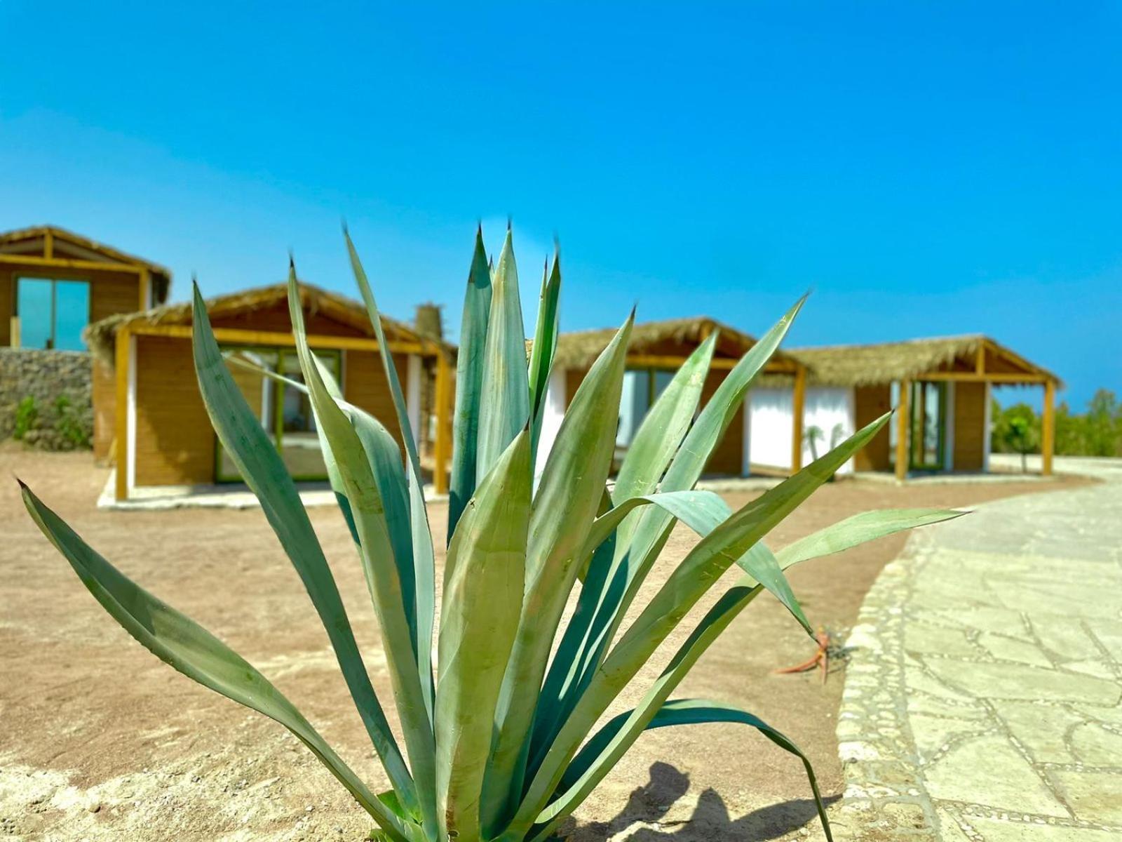 Ananda Beach Camp Nuweiba` Exterior foto